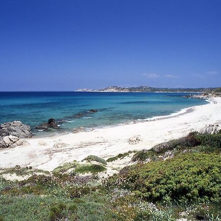 Rena Garden Apartments Santa Teresa Gallura Kültér fotó